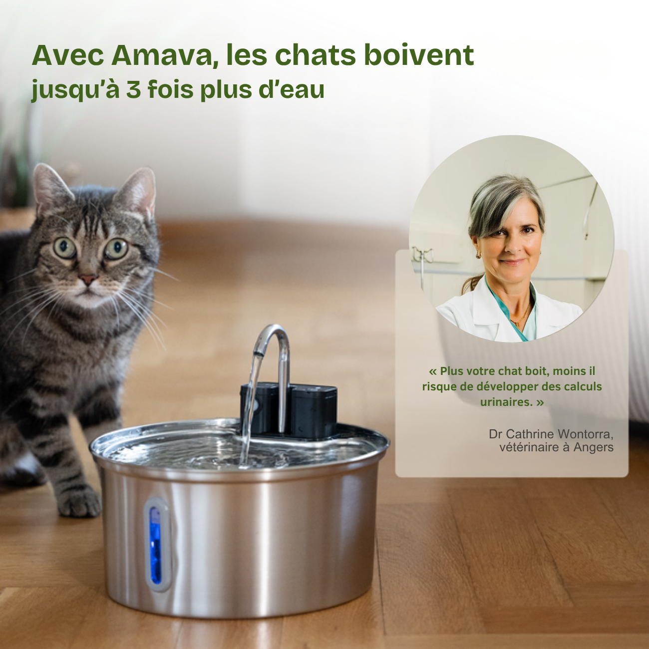 FONTAINE A EAU POUR CHAT 1.0