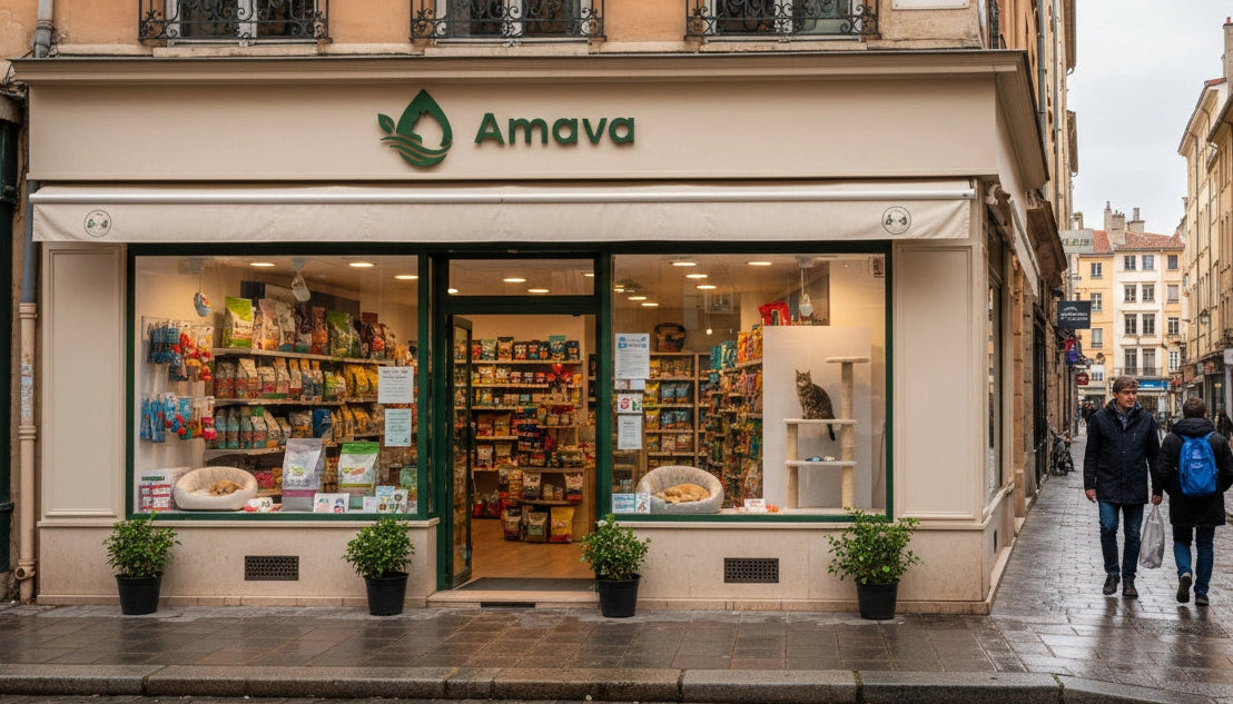 L’histoire d’Amava