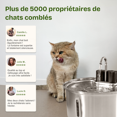 FONTAINE A EAU POUR CHAT 1.0