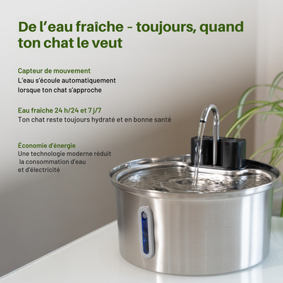 FONTAINE A EAU POUR CHAT 1.0